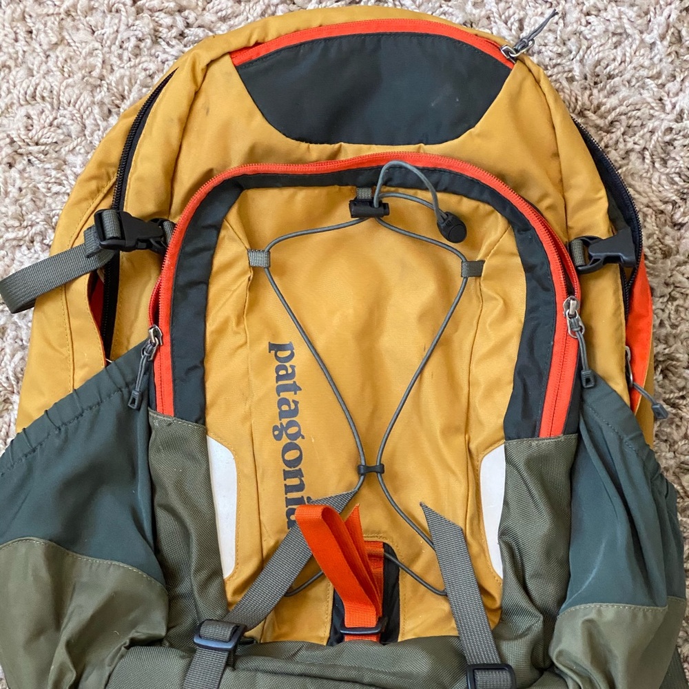 Patagonia Travel Backpack